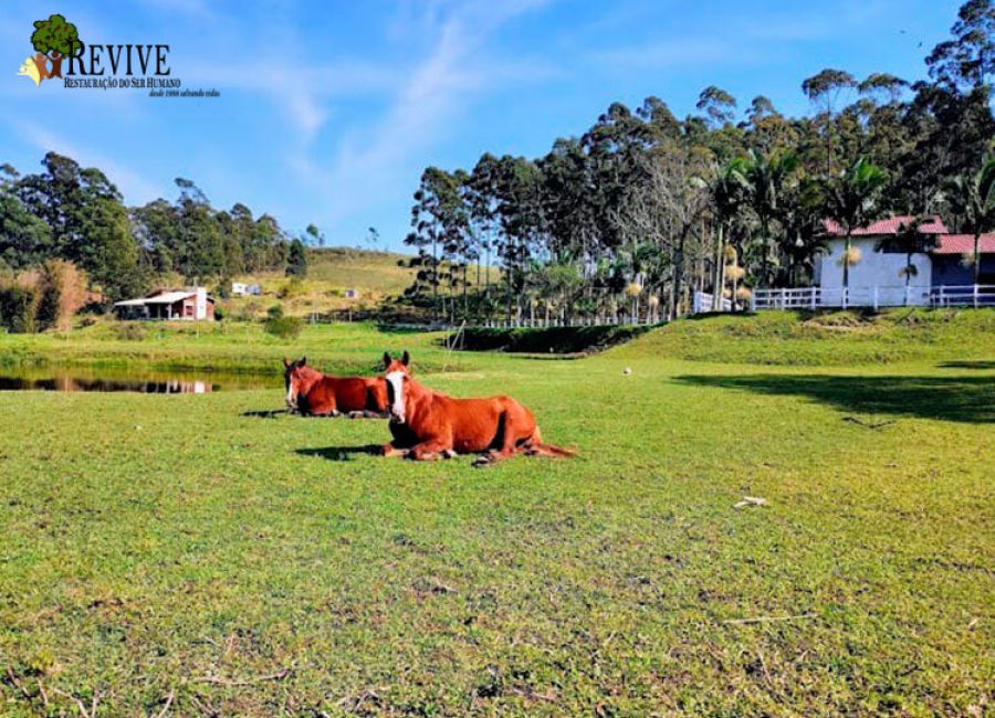 Foto principal da clínica Clínica De Recuperação Em Balneário Rincão - SC