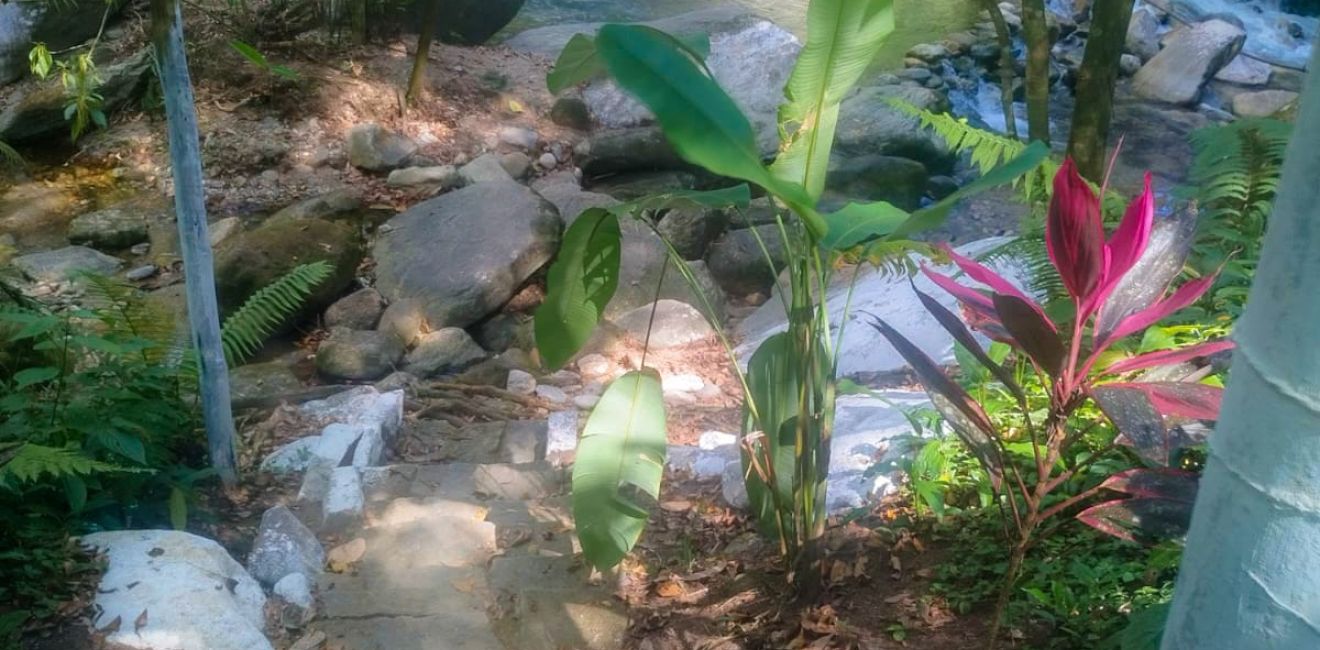 Clínica De Recuperação Evangélica Em Ubatuba