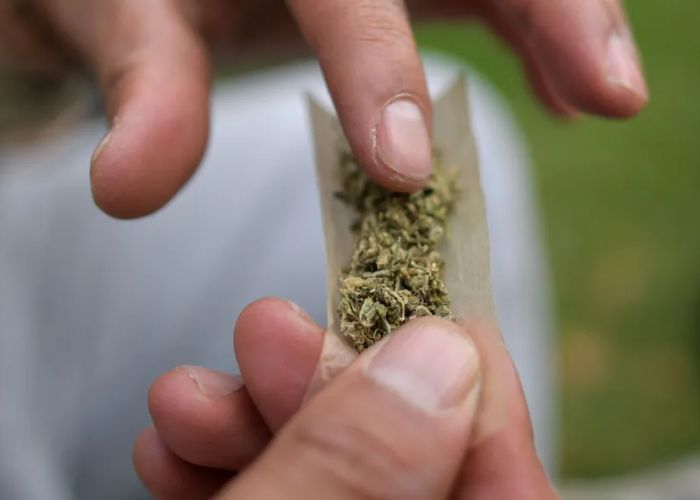 Maconha causa esquizofrenia?