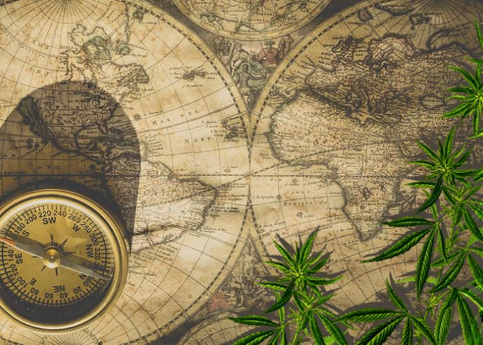 A História Da Maconha