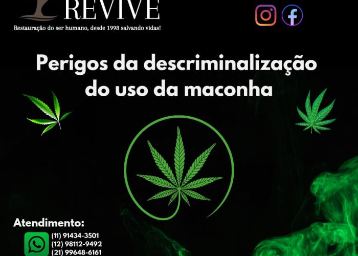 Perigos da Descriminalização do Uso da Maconha