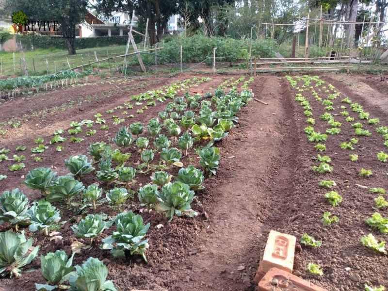 Foto 6 da clínica Clínica de Recuperação em Mairiporã