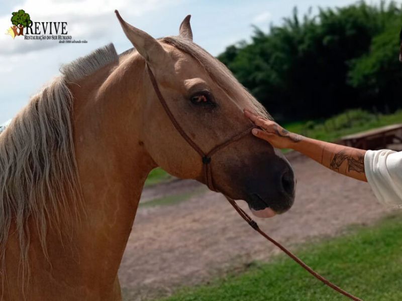 Foto 14 da clínica Clínica de Recuperação em Maricá – RJ