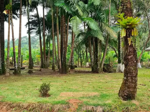 Foto 3 da clínica Clínica de Recuperação em Garuva - SC