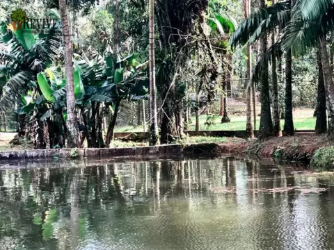 Foto 6 da clínica Clínica de Recuperação em Garuva - SC