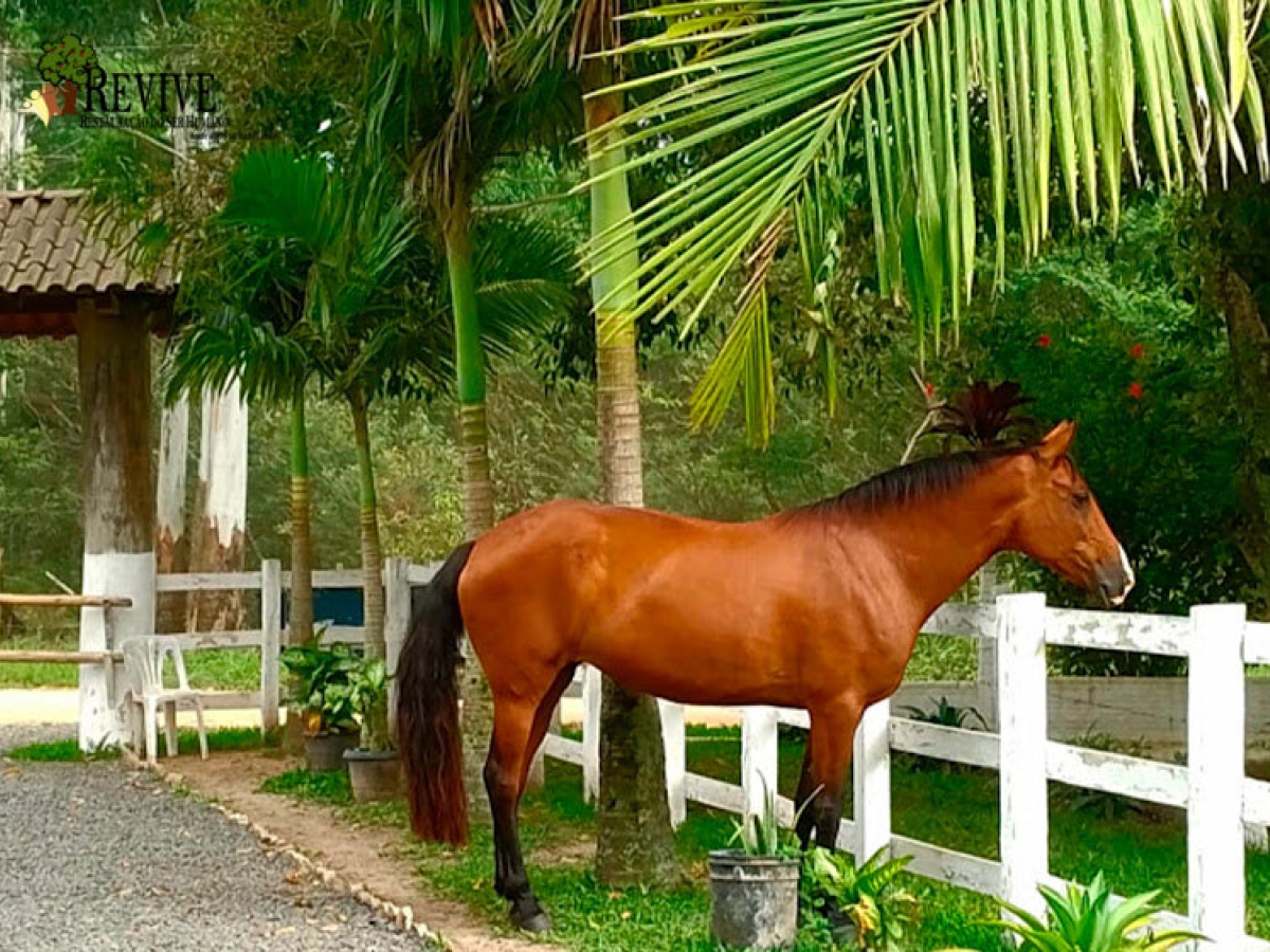 Clínica De Recuperação Em Balneário Rincão - SC