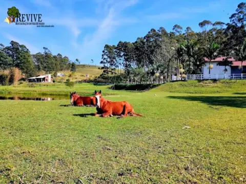 Foto 6 da clínica Clínica De Recuperação Em Balneário Rincão - SC