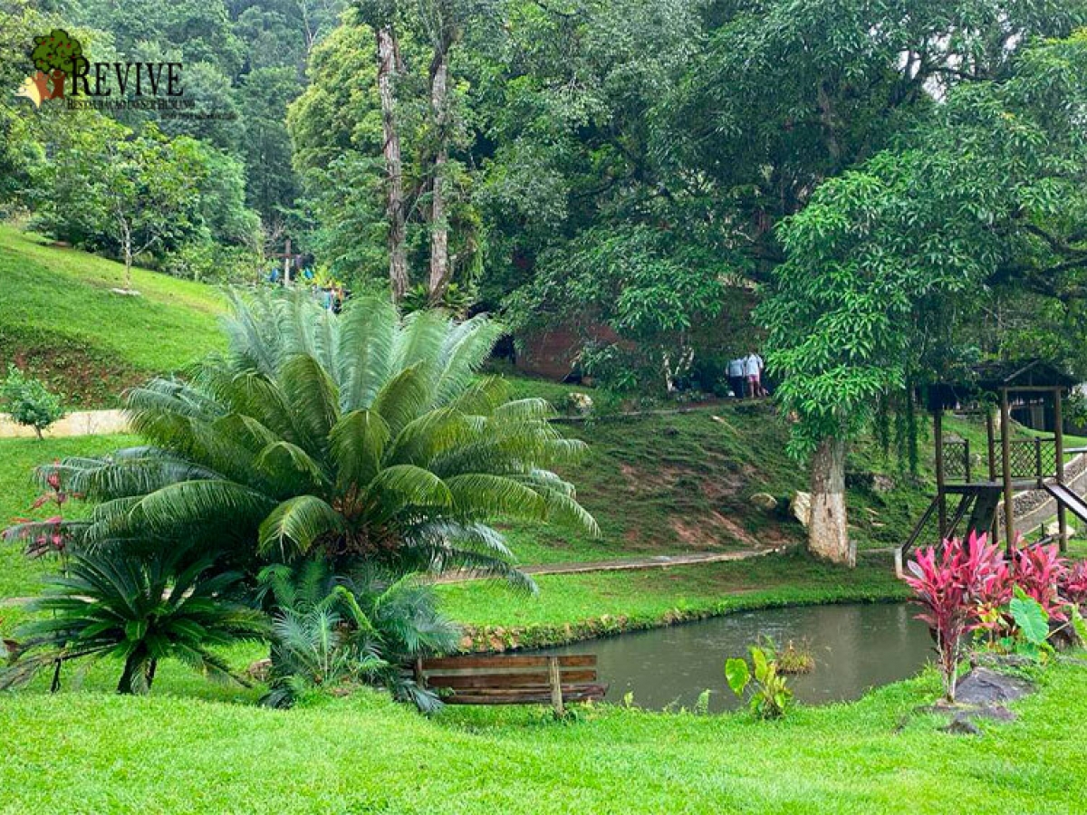 Clínica De Recuperação Em Caraguatatuba