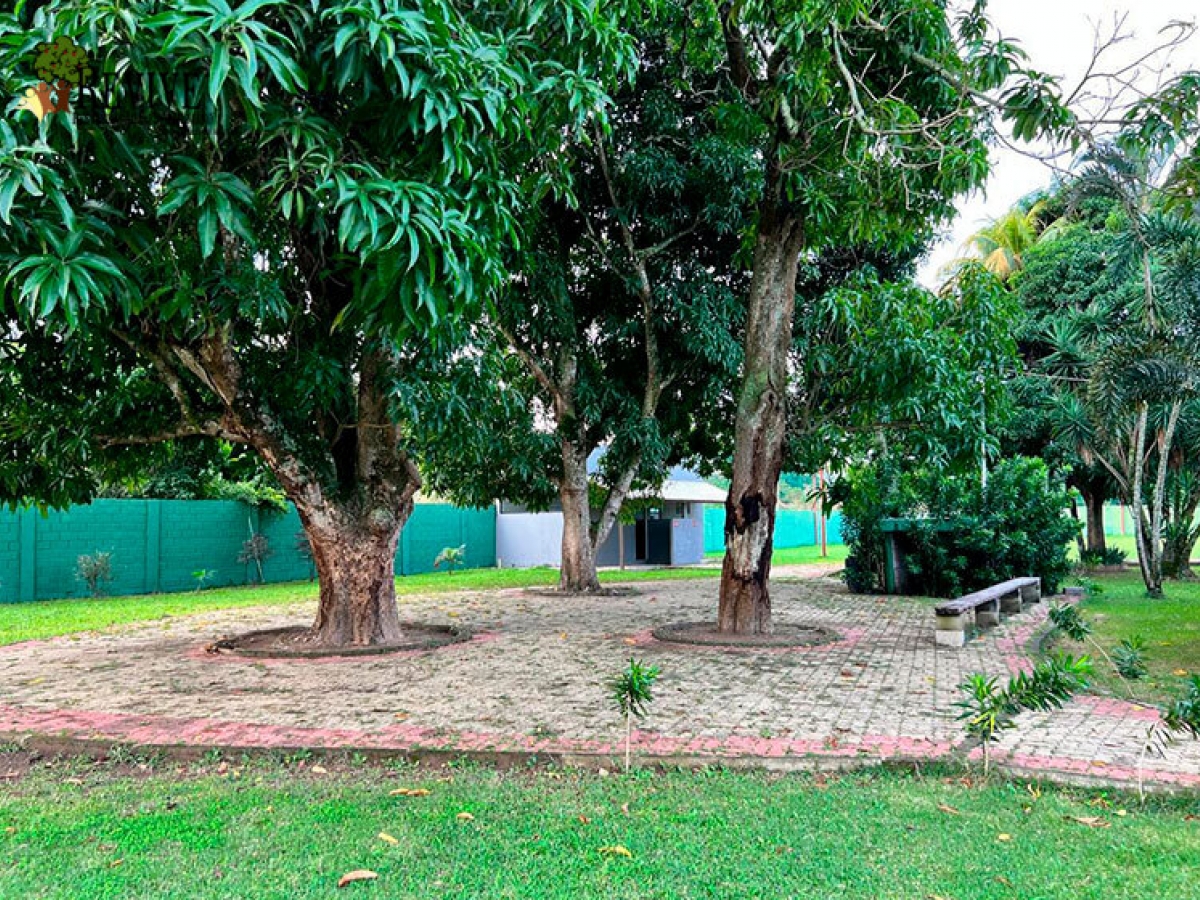 Clínica De Recuperação Em Belford Roxo - RJ