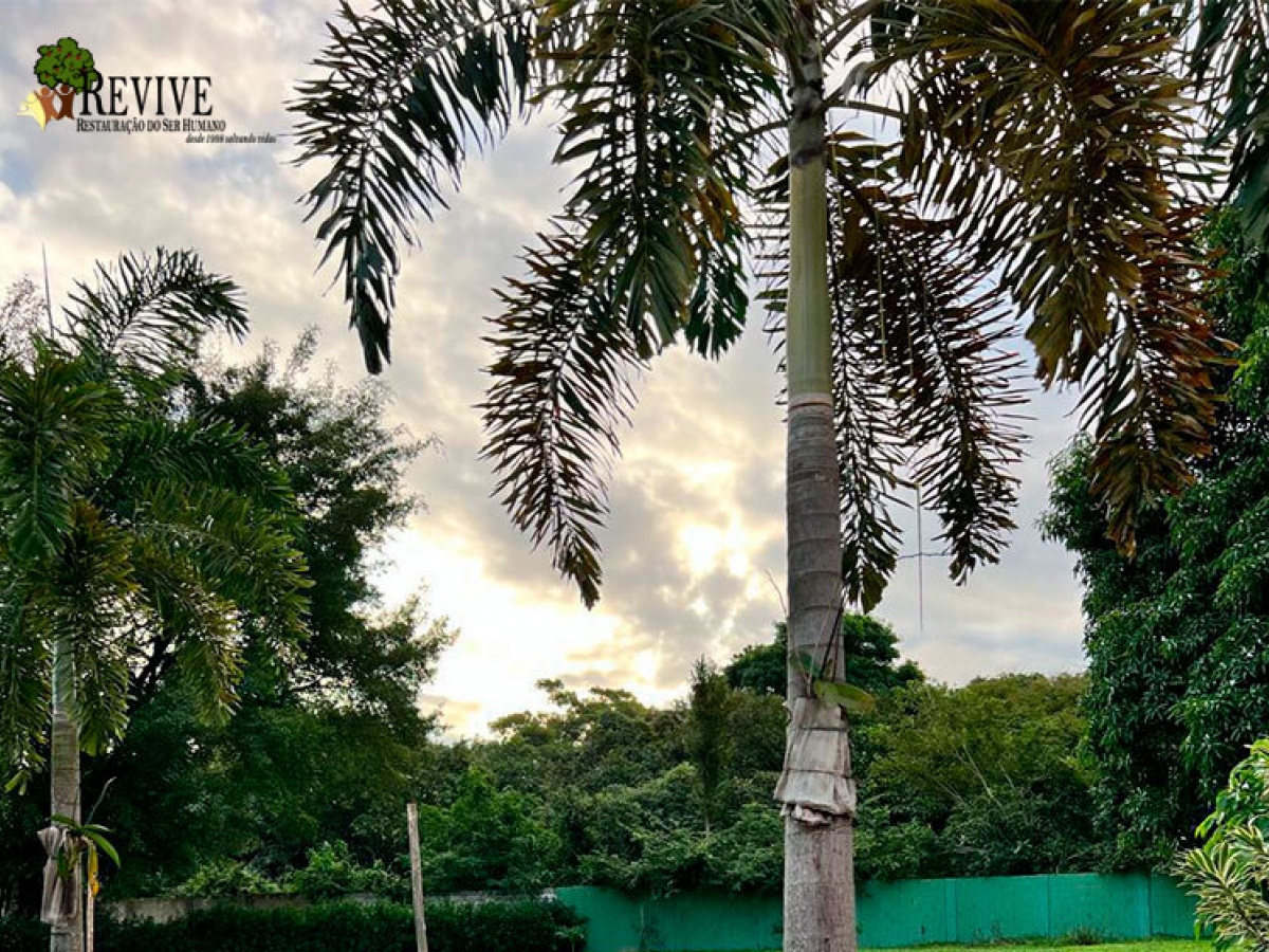 Clínica De Recuperação Em Belford Roxo - RJ
