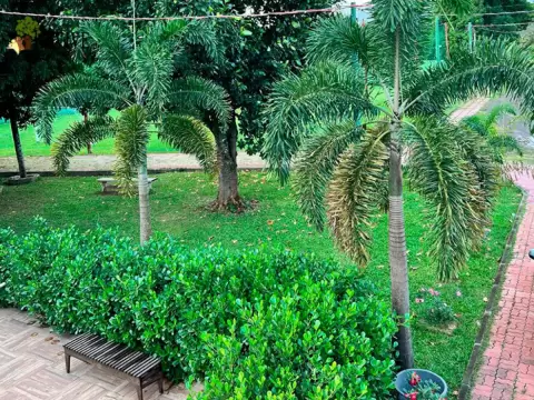 Foto 4 da clínica Clínica De Recuperação Em Belford Roxo - RJ