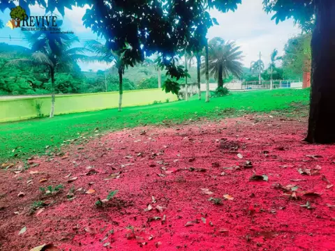 Foto 3 da clínica Clínica De Recuperação Em Brasília