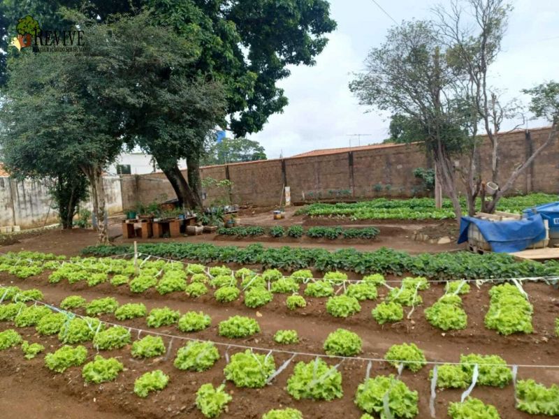 Foto 3 da clínica Clínica De Recuperação Em Franca