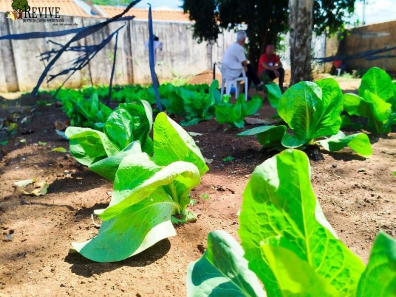 Foto 11 da clínica Clínica De Recuperação Em Franca