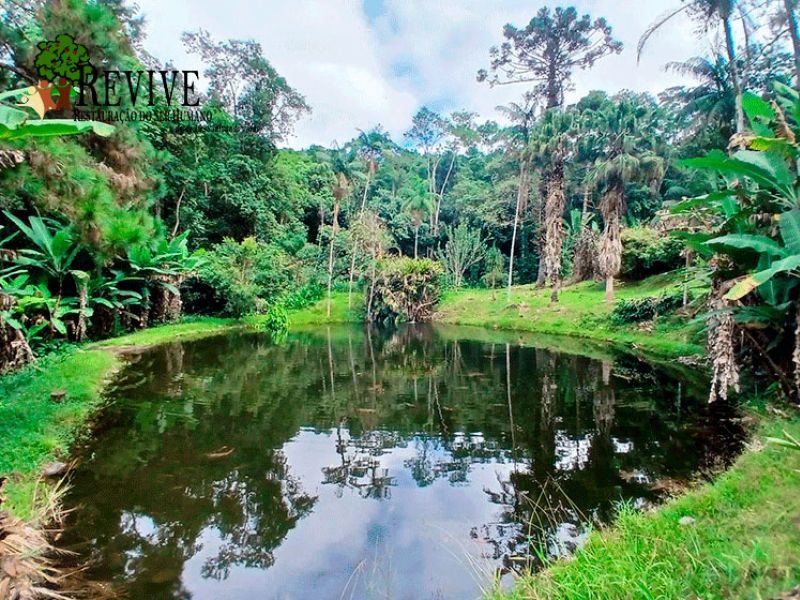 Foto 3 da clínica Clínica De Recuperação Em Guarulhos - Internação Imediata
