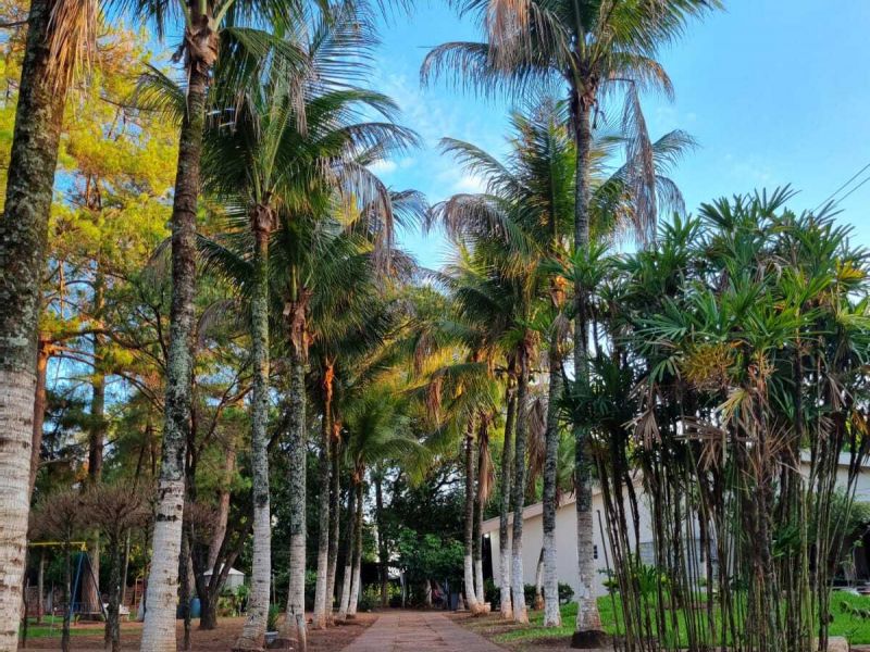 Foto 10 da clínica Clínica de Recuperação em São José do Rio Preto